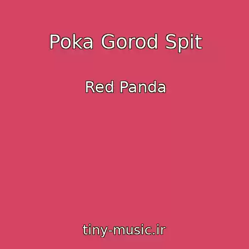 کاور آهنگ Poka Gorod Spit از Red Panda