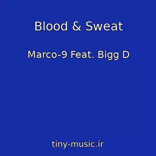 کاور آهنگ Blood & Sweat از Marco-9 Feat. Bigg D