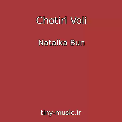 کاور آهنگ Chotiri Voli از Natalka Bun
