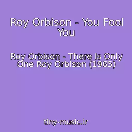 کاور آهنگ Roy Orbison - You Fool You از Roy Orbison - There Is Only One Roy Orbison (1965)