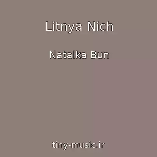 کاور آهنگ Litnya Nich از Natalka Bun