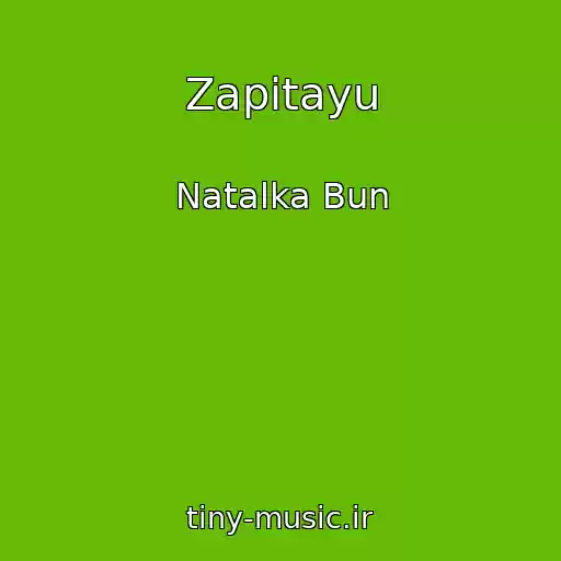 کاور آهنگ Zapitayu از Natalka Bun