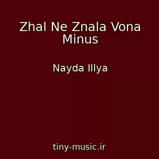 کاور آهنگ Zhal Ne Znala Vona Mіnus از Nayda Іllya