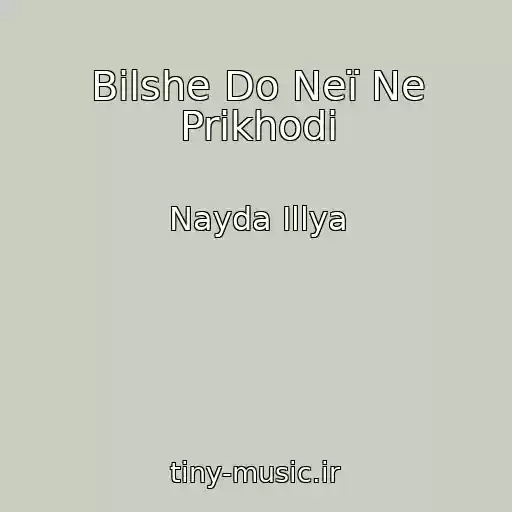کاور آهنگ Bіlshe Do Neї Ne Prikhodi از Nayda Іllya
