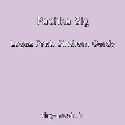 کاور آهنگ Pachka Sig از Logaz Feat. Sindrom Gerdy