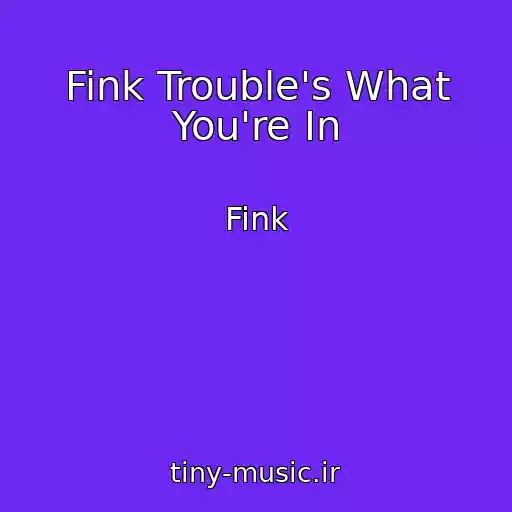 کاور آهنگ Fink Trouble's What You're In از Fink
