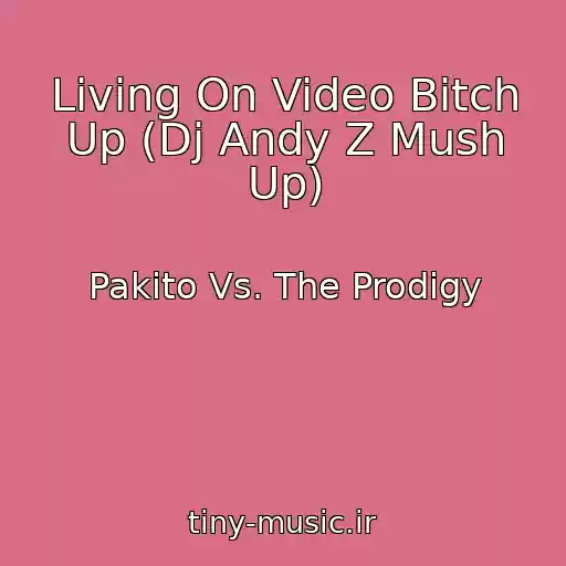 کاور آهنگ Living On Video Bitch Up (Dj Andy Z Mush Up) از Pakito Vs. The Prodigy