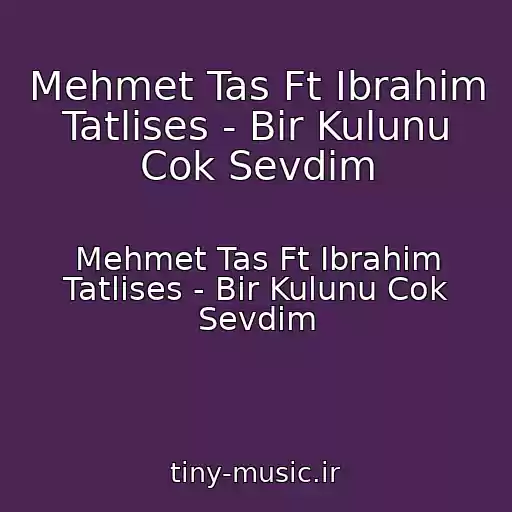 کاور آهنگ Mehmet Tas Ft Ibrahim Tatlises - Bir Kulunu Cok Sevdim از Mehmet Tas Ft Ibrahim Tatlises - Bir Kulunu Cok Sevdim