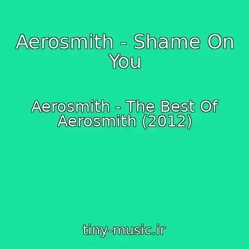 کاور آهنگ Aerosmith - Shame On You از Aerosmith - The Best Of Aerosmith (2012)