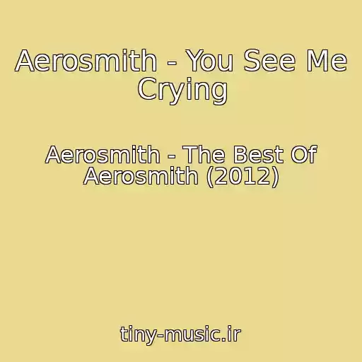 کاور آهنگ Aerosmith - You See Me Crying از Aerosmith - The Best Of Aerosmith (2012)