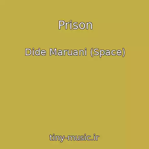 کاور آهنگ Prison از Dide Maruani (Space)