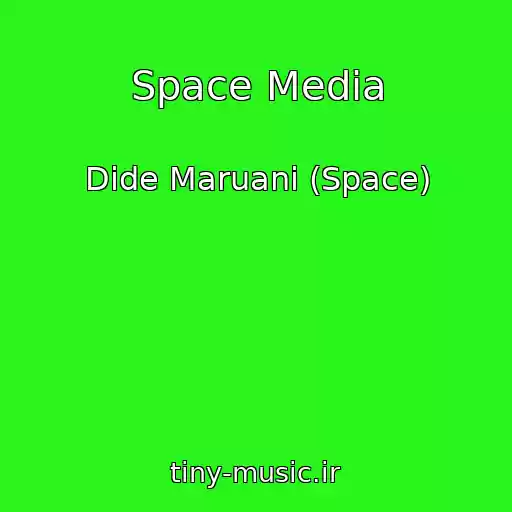 کاور آهنگ Space Media از Dide Maruani (Space)