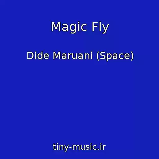 کاور آهنگ Magic Fly از Dide Maruani (Space)