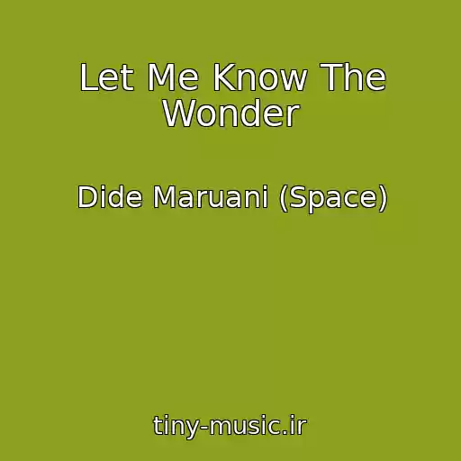 کاور آهنگ Let Me Know The Wonder از Dide Maruani (Space)