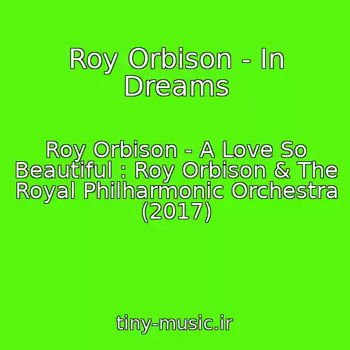 کاور آهنگ Roy Orbison - In Dreams از Roy Orbison - A Love So Beautiful : Roy Orbison & The Royal Philharmonic Orchestra (2017)