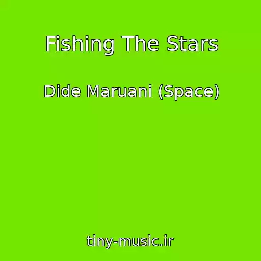 کاور آهنگ Fishing The Stars از Dide Maruani (Space)