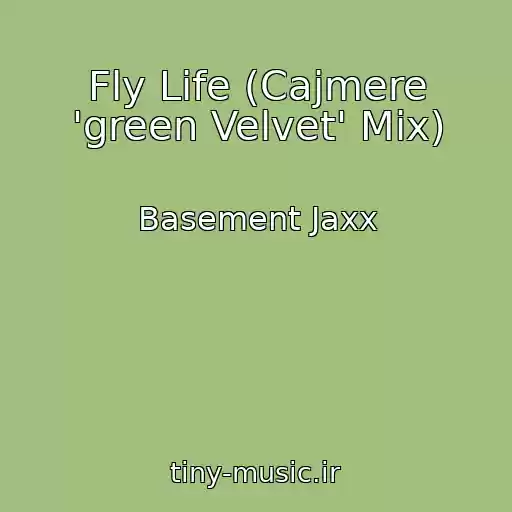 کاور آهنگ Fly Life (Cajmere 'green Velvet' Mix) از Basement Jaxx