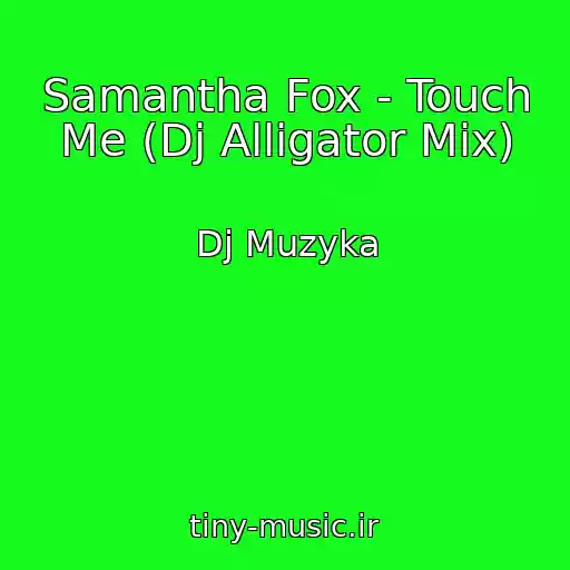 کاور آهنگ Samantha Fox - Touch Me (Dj Alligator Mix) از Dj Muzyka