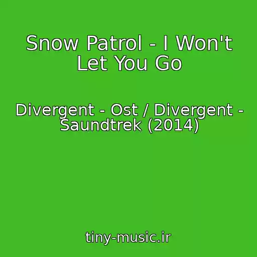 کاور آهنگ Snow Patrol - I Won't Let You Go از Divergent - Ost / Divergent - Saundtrek (2014)