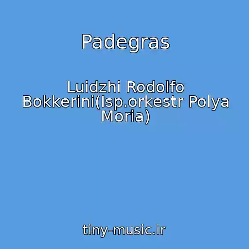 کاور آهنگ Padegras از Luidzhi Rodolfo Bokkerini(Isp.orkestr Polya Moria)