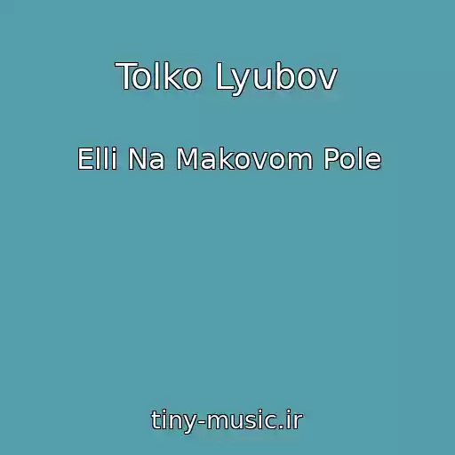 کاور آهنگ Tolko Lyubov از Elli Na Makovom Pole