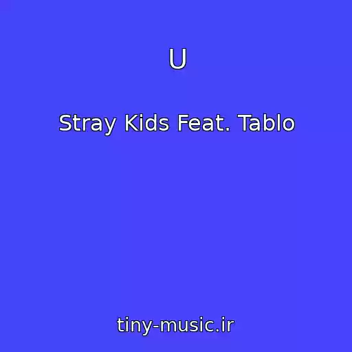 کاور آهنگ U از Stray Kids Feat. Tablo