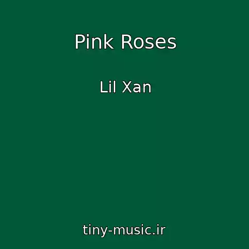 کاور آهنگ Pink Roses از Lil Xan