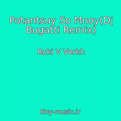 کاور آهنگ Potantsuy So Mnoy(Dj Bugatti Remix) از Ruki V Verkh