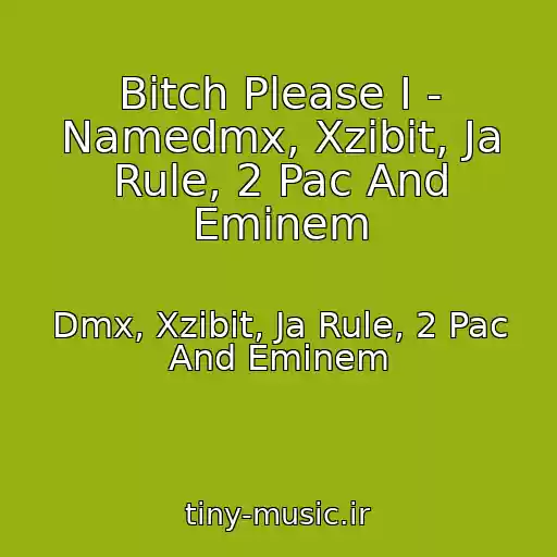 کاور آهنگ Bitch Please I - Namedmx, Xzibit, Ja Rule, 2 Pac And Eminem از Dmx, Xzibit, Ja Rule, 2 Pac And Eminem