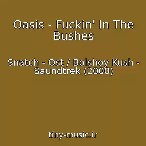 کاور آهنگ Oasis - Fuckin' In The Bushes از Snatch - Ost / Bolshoy Kush - Saundtrek (2000)