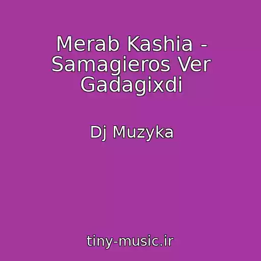 کاور آهنگ Merab Kashia - Samagieros Ver Gadagixdi از Dj Muzyka