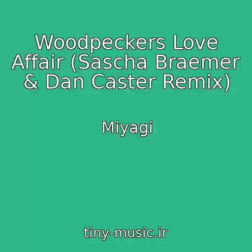 کاور آهنگ Woodpeckers Love Affair (Sascha Braemer & Dan Caster Remix) از Miyagi