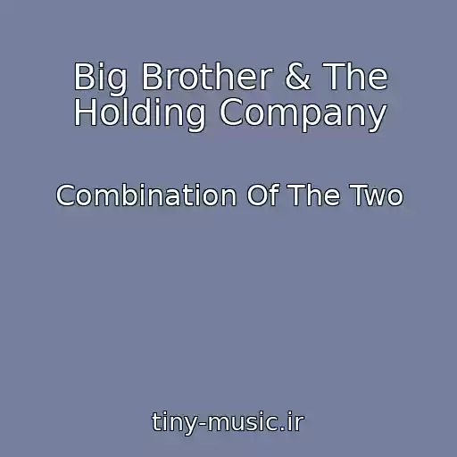 کاور آهنگ Big Brother & The Holding Company از Combination Of The Two