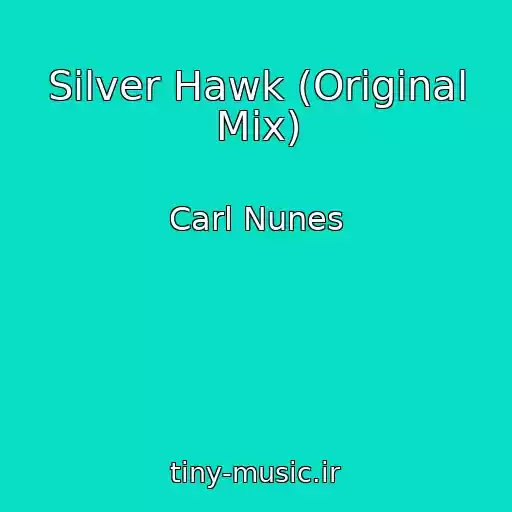 کاور آهنگ Silver Hawk (Original Mix) از Carl Nunes
