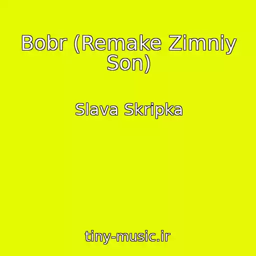 کاور آهنگ Bobr (Remake Zimniy Son) از Slava Skripka