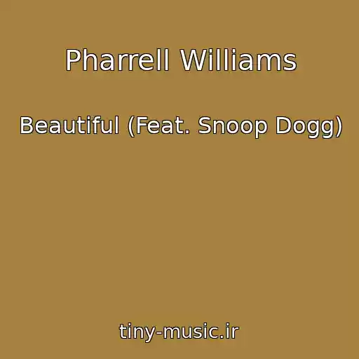 کاور آهنگ Pharrell Williams از Beautiful (Feat. Snoop Dogg)