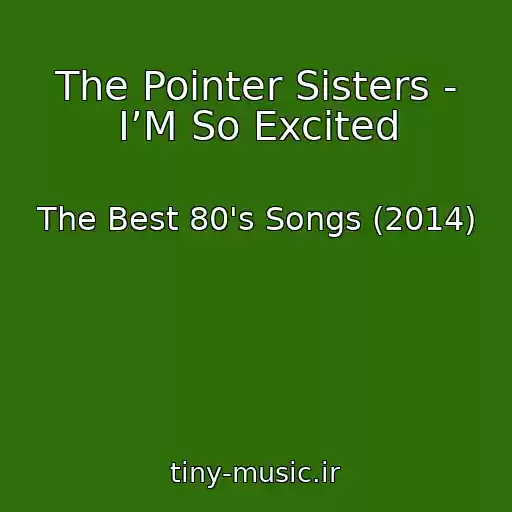 کاور آهنگ The Pointer Sisters - I’M So Excited از The Best 80's Songs (2014)