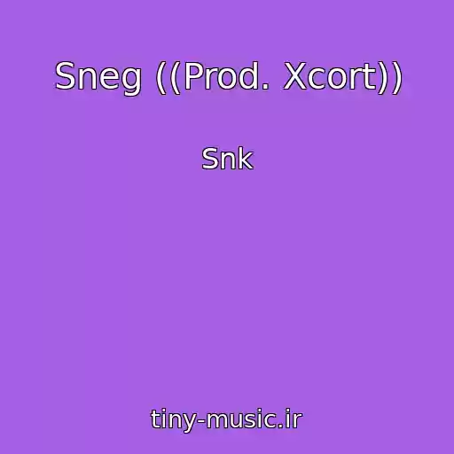 کاور آهنگ Sneg ((Prod. Xcort)) از Snk
