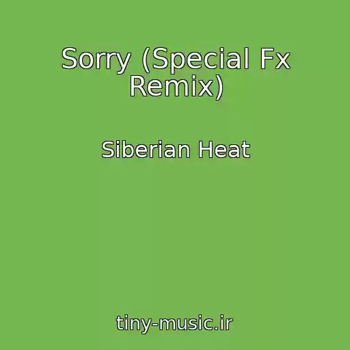 کاور آهنگ Sorry (Special Fx Remix) از Siberian Heat