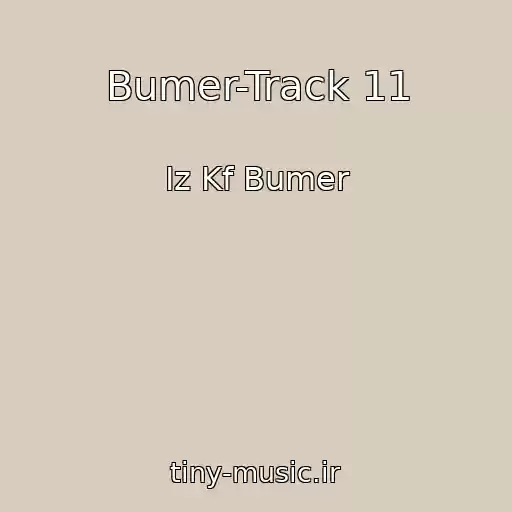 کاور آهنگ Bumer-Track 11 از Iz Kf Bumer