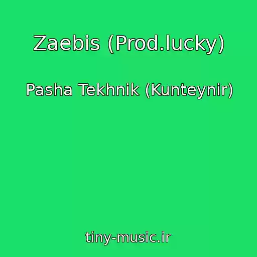 کاور آهنگ Zaebis (Prod.lucky) از Pasha Tekhnik (Kunteynir)