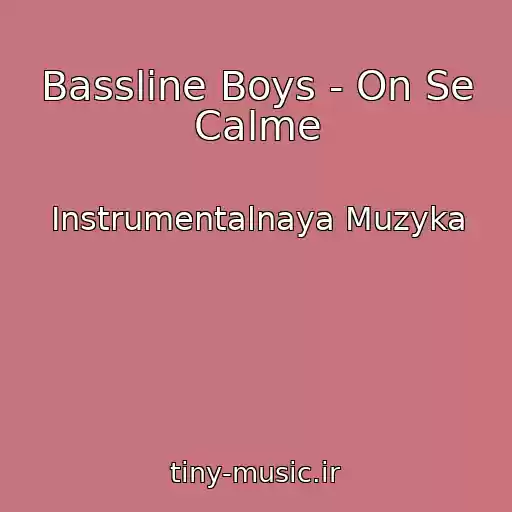 کاور آهنگ Bassline Boys - On Se Calme از Instrumentalnaya Muzyka