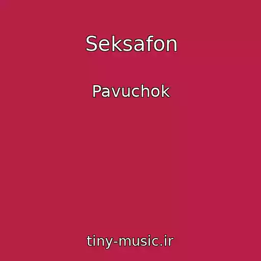 کاور آهنگ Seksafon از Pavuchok