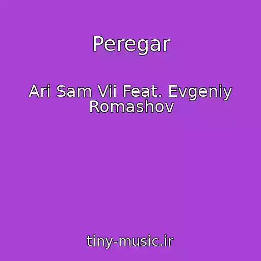 کاور آهنگ Peregar از Ari Sam Vii Feat. Evgeniy Romashov