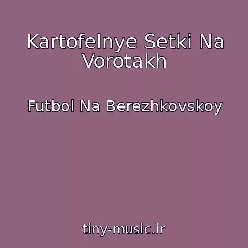 کاور آهنگ Kartofelnye Setki Na Vorotakh از Futbol Na Berezhkovskoy