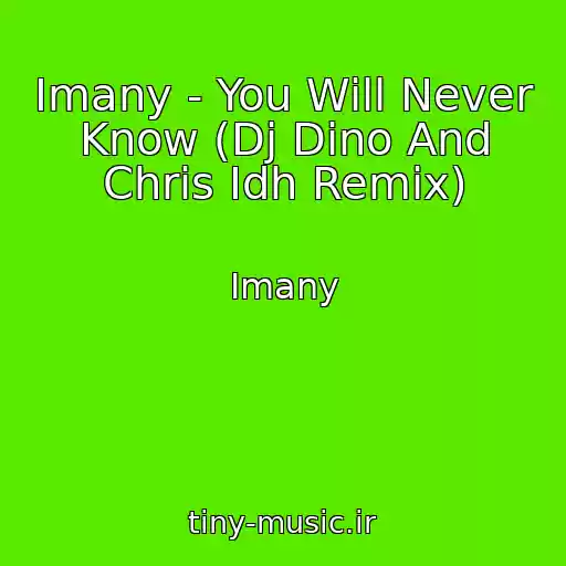 کاور آهنگ Imany - You Will Never Know (Dj Dino And Chris Idh Remix) از Imany