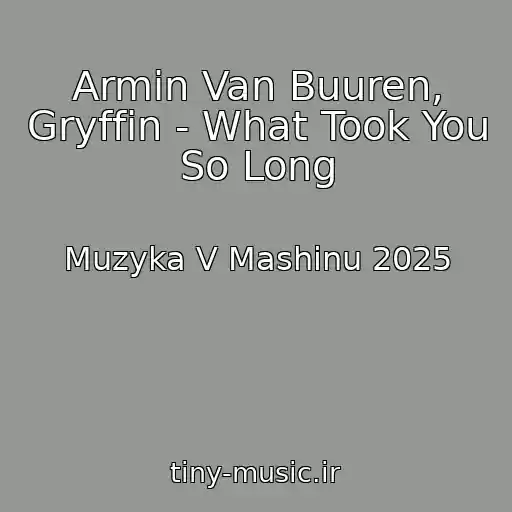 کاور آهنگ Armin Van Buuren, Gryffin - What Took You So Long از Muzyka V Mashinu 2025