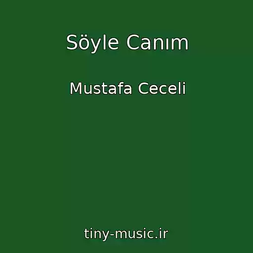 کاور آهنگ Söyle Canım از Mustafa Ceceli
