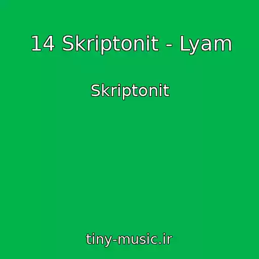 کاور آهنگ 14 Skriptonit - Lyam از Skriptonit
