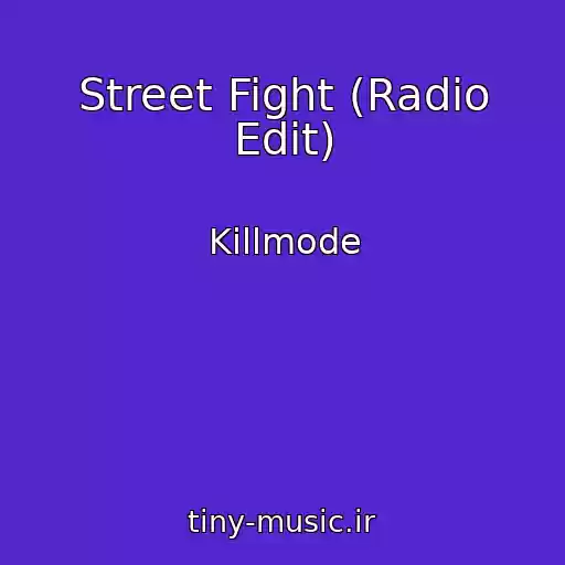 کاور آهنگ Street Fight (Radio Edit) از Killmode